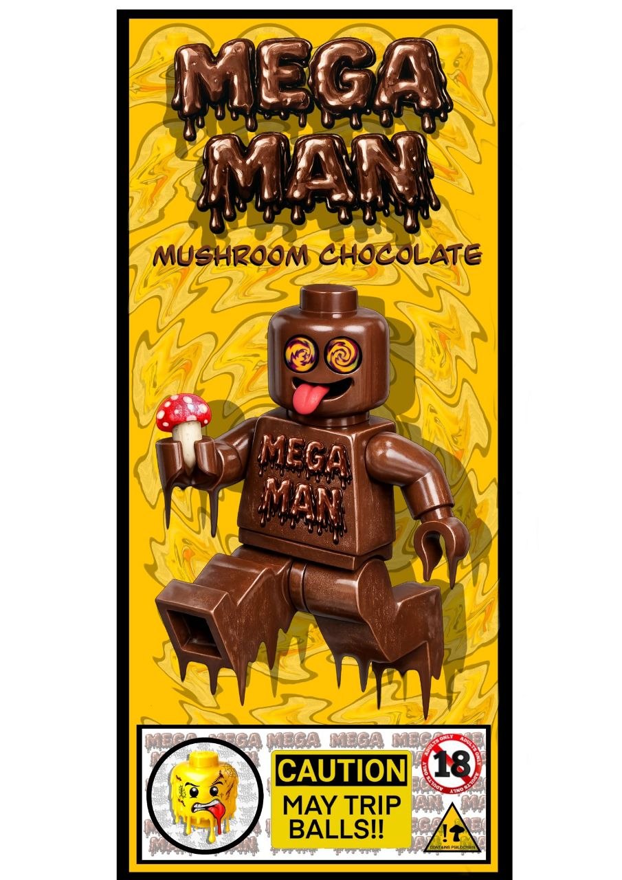 Mega Man artwork poster
